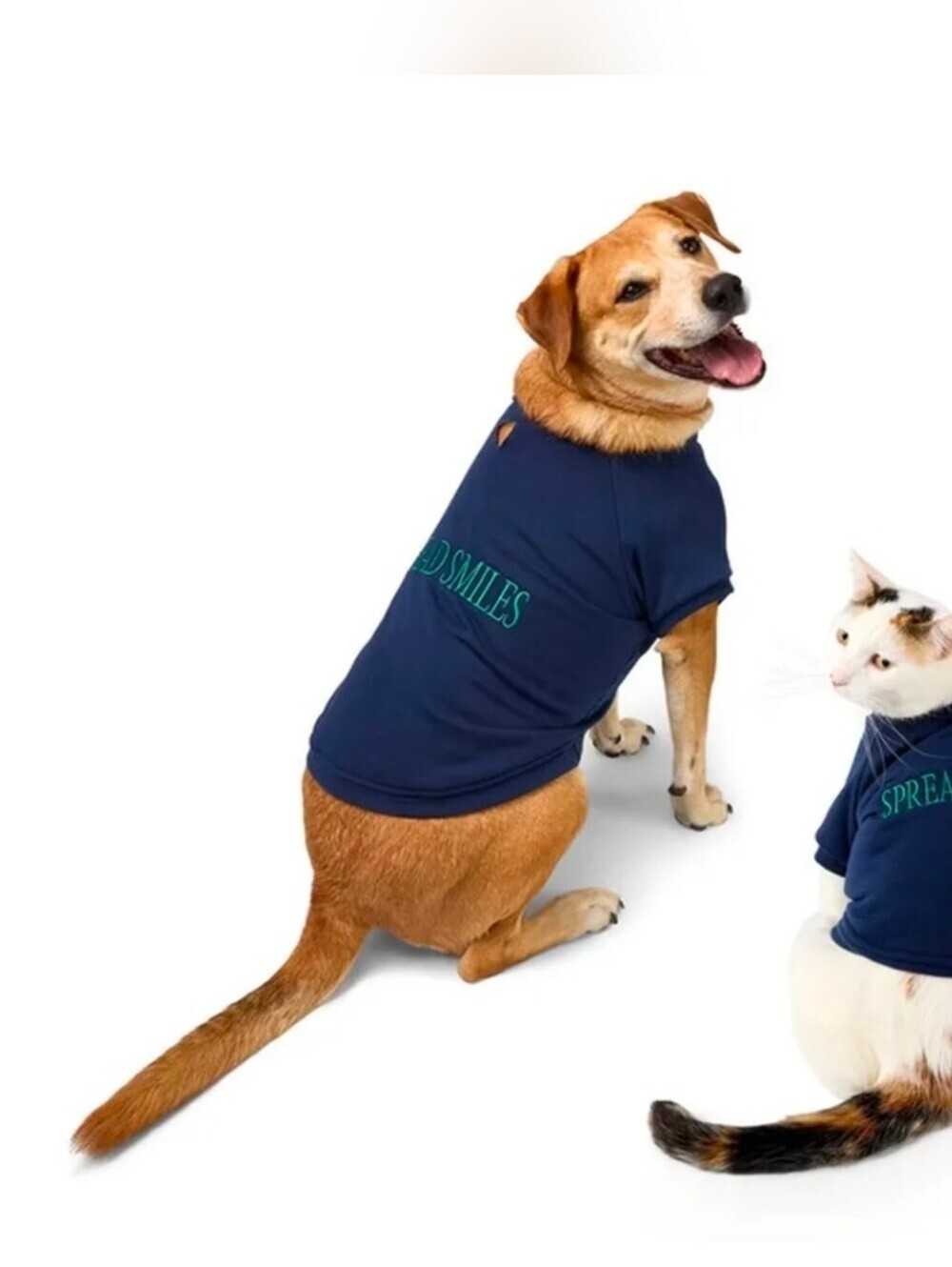 The Cuddle Collab Ellie & Emma Dog & Cat Spread Smiles Graphic Sweatshirt,